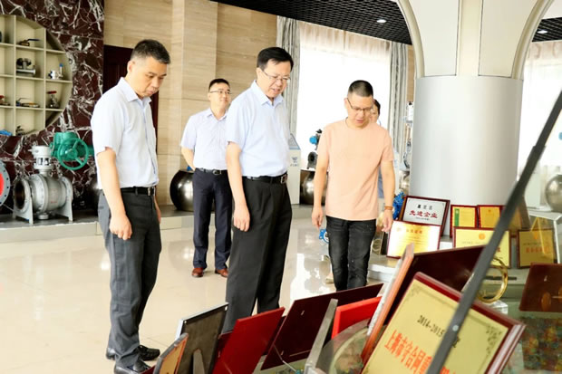 嘉定区政协主席沈华棣调研金年会 金字招牌（图1）