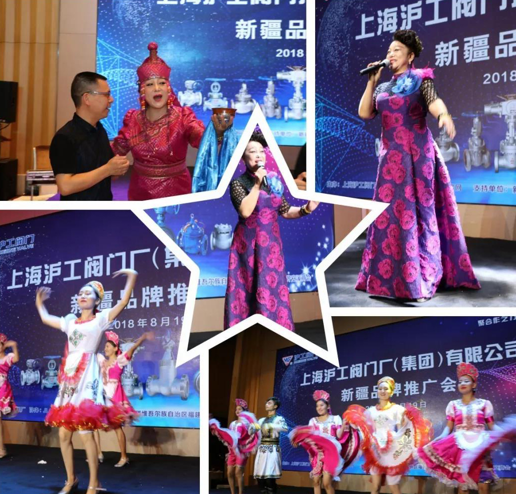 金年会 金字招牌新疆品牌推广会（图6）