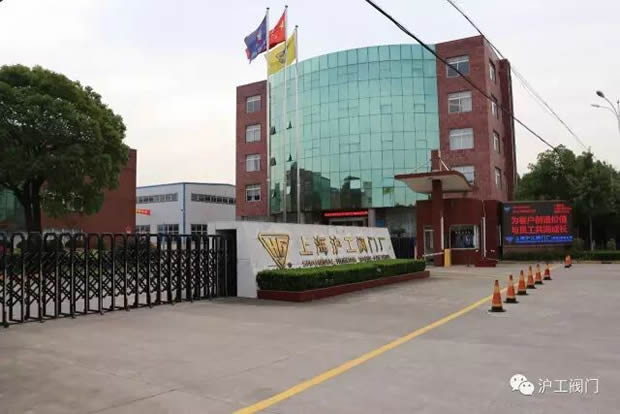 嘉定区副区长陆祖芳等领导一行莅临我公司视察指导工作（图1）