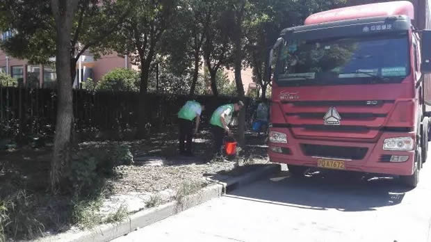金年会 金字招牌美丽华亭清洁家园志愿者活动（图1）